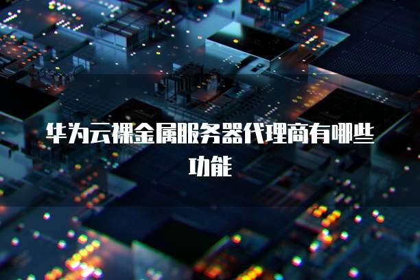 华为云裸金属服务器代理商有哪些功能