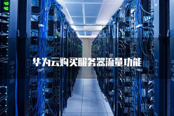 华为云购买服务器流量功能