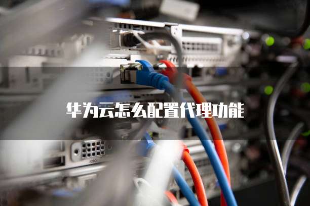 华为云怎么配置代理功能