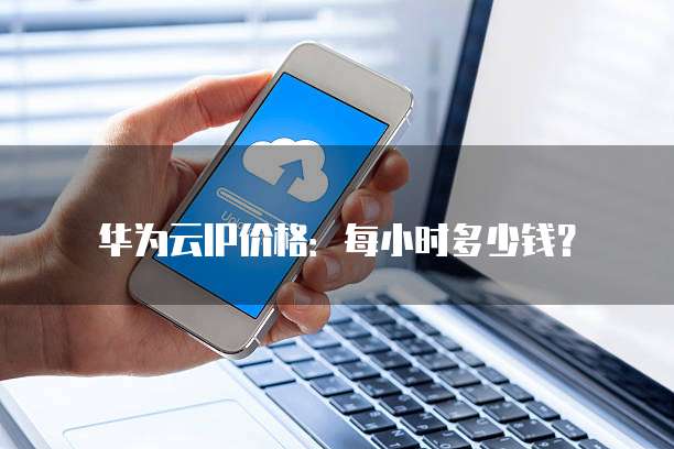 华为云IP价格:每小时多少钱?