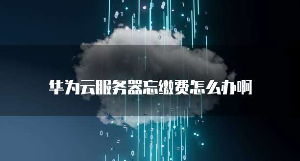 华为云服务器到期不续费会怎样处理吗?
