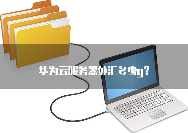 华为云服务器外汇多少g？