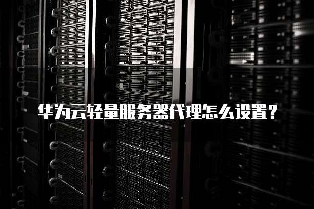 华为云轻量服务器代理怎么设置?