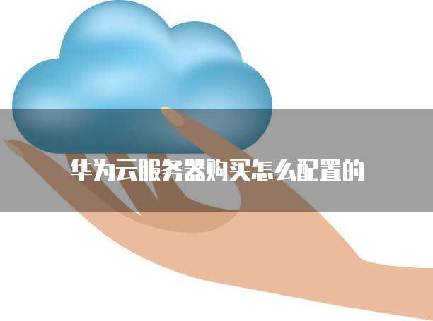 华为云服务器购买怎么配置的