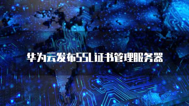 华为云服务器怎么连外网的电脑主机上网设置不了