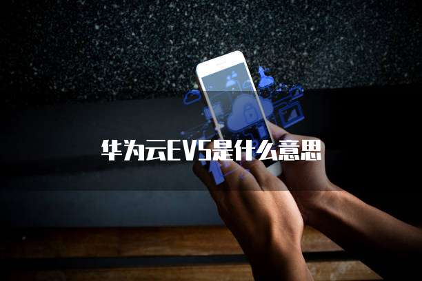 华为云EVS是什么意思
