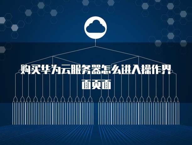 购买华为云服务器怎么进入操作界面页面