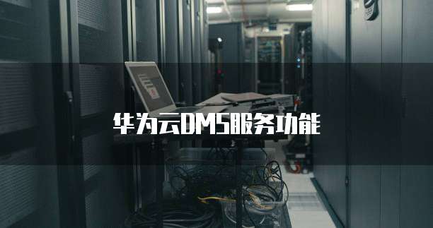 华为云DMS服务功能