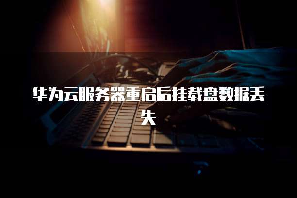 华为云服务器重启后挂载盘数据丢失