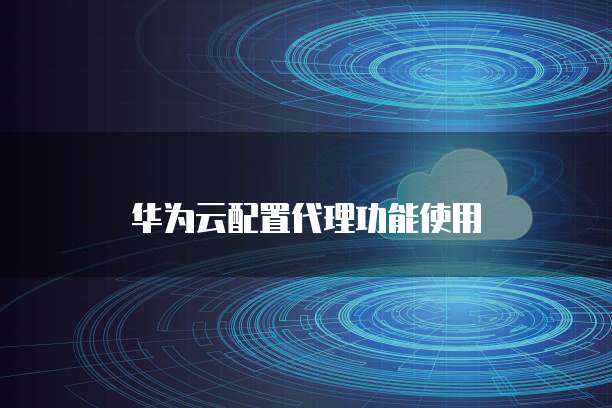 华为云配置代理功能使用