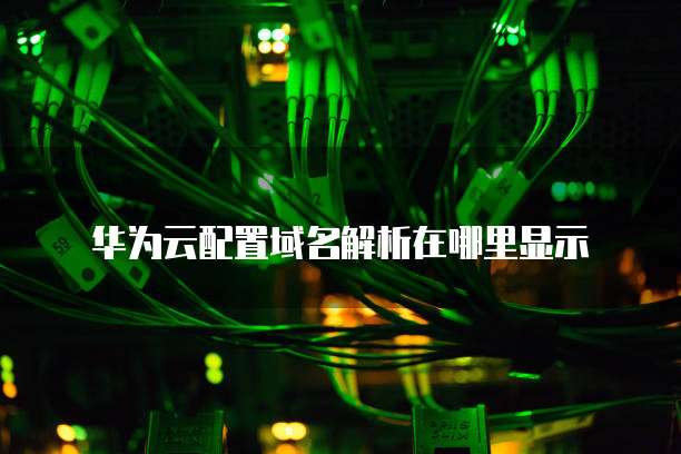 华为云配置域名解析在哪里显示
