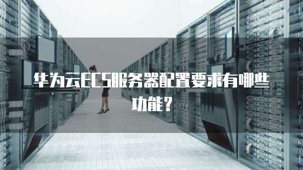 华为云ECS服务器配置要求有哪些功能?