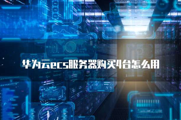 华为云ecs服务器购买4台怎么用