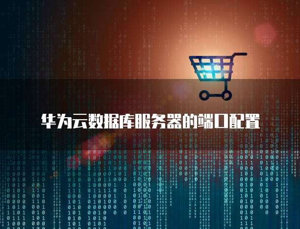 华为云数据库服务器的端口配置