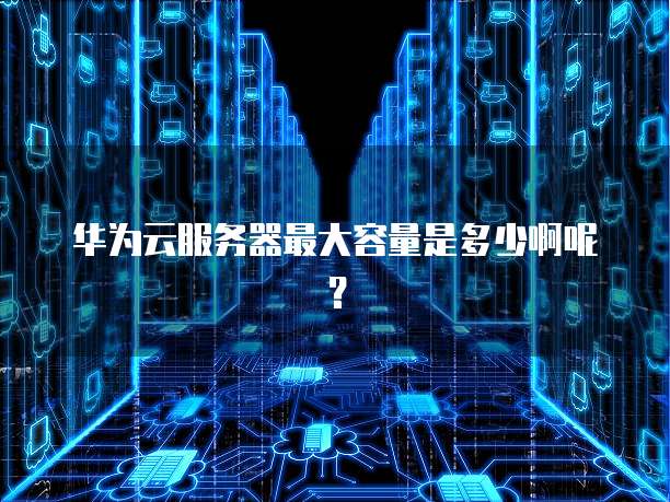 华为云服务器最大容量是多少啊呢?