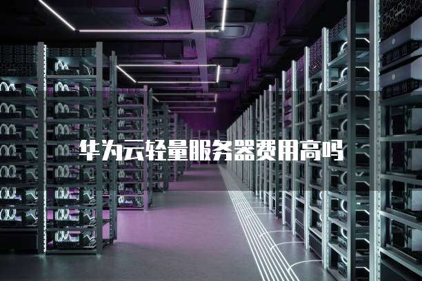 华为云轻量服务器费用高吗
