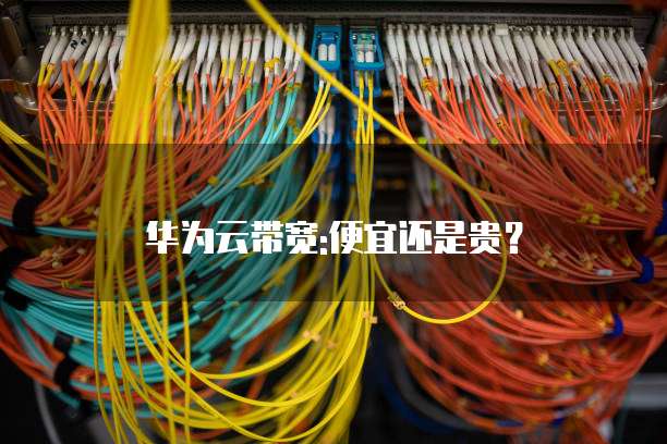 华为云带宽:便宜还是贵?