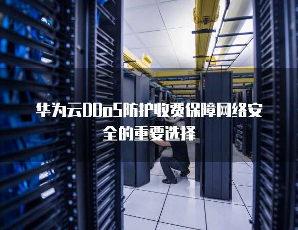 华为云DDoS防护收费保障网络安全的重要选择
