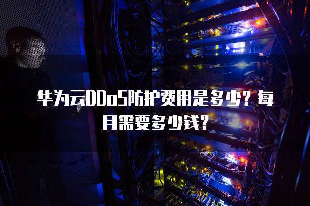华为云DDoS防护费用是多少?每月需要多少钱?