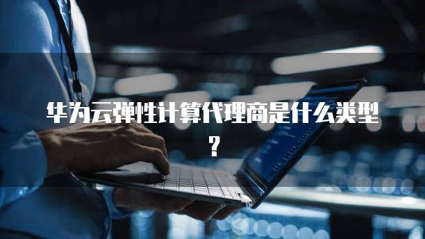 华为云弹性计算代理商是什么类型?