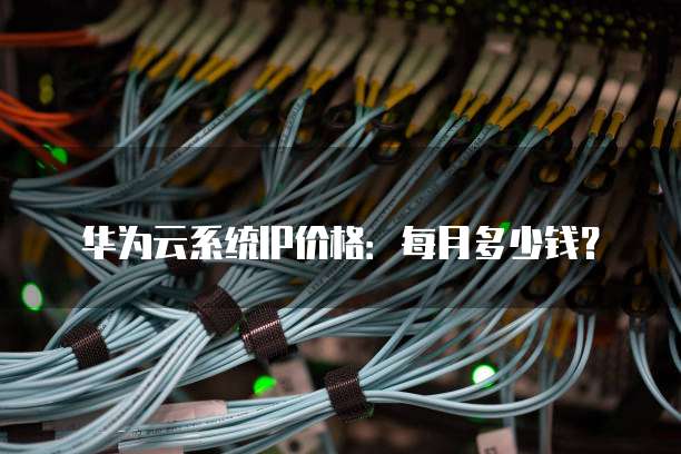 华为云系统IP价格:每月多少钱?