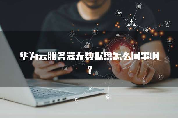 华为云服务器无数据盘怎么回事啊?