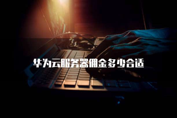 华为云服务器佣金多少合适