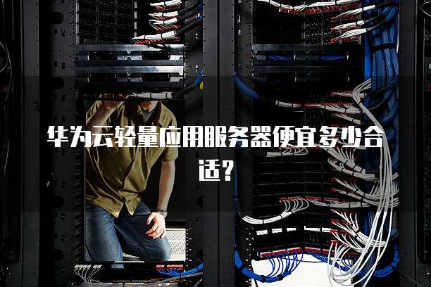 华为云轻量应用服务器便宜多少合适?