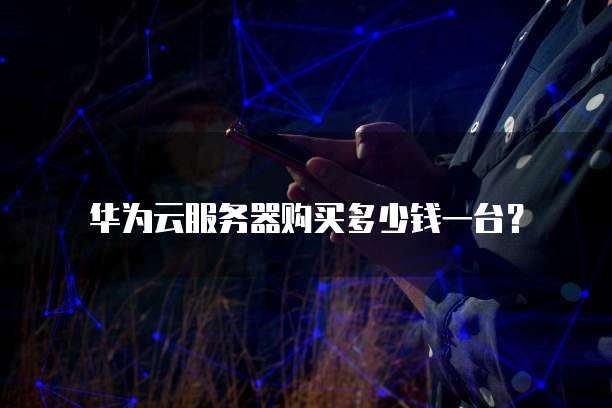 华为云服务器购买多少钱一台?