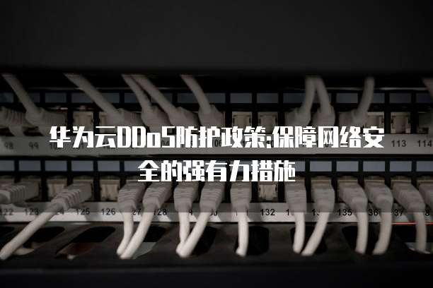 华为云DDoS防护政策:保障网络安全的强有力措施