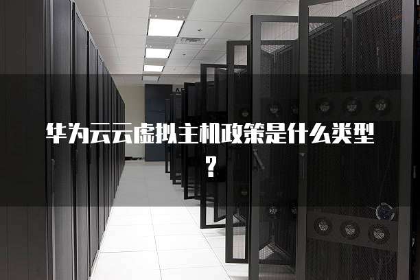 华为云云虚拟主机政策是什么类型?