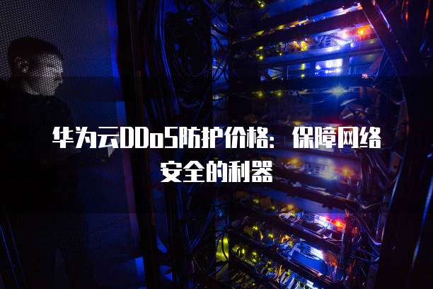 华为云DDoS防护价格：保障网络安全的利器