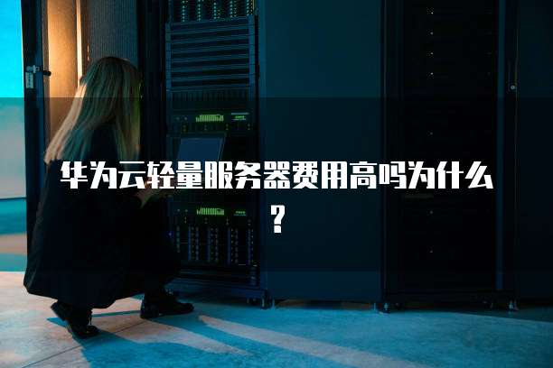 华为云轻量服务器费用高吗为什么?