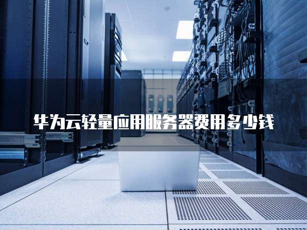 华为云轻量应用服务器费用多少钱