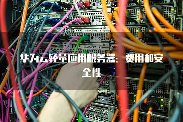 华为云轻量应用服务器:费用和安全性