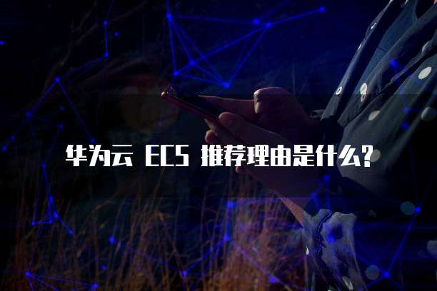 华为云 ECS 推荐理由是什么?