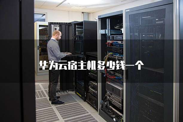 华为云宿主机多少钱一个