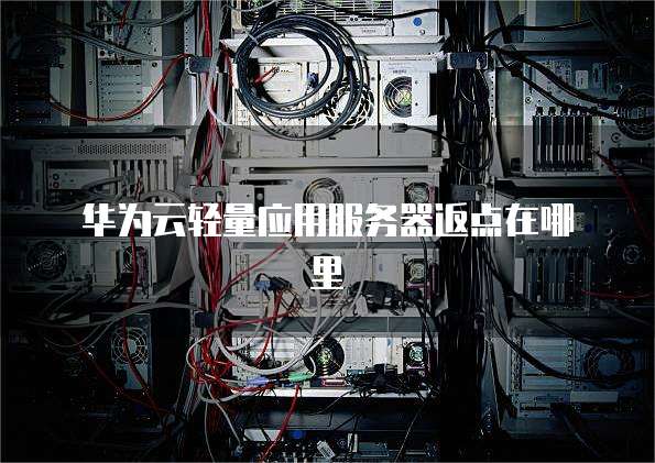 华为云轻量应用服务器返点在哪里