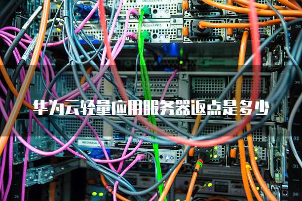 华为云轻量应用服务器返点是多少
