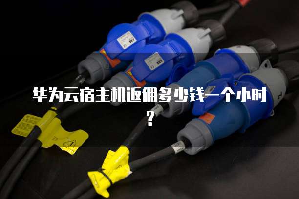 华为云宿主机返佣多少钱一个小时?