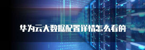 华为云大数据配置详情怎么看的