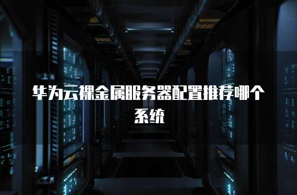 华为云裸金属服务器配置推荐哪个系统
