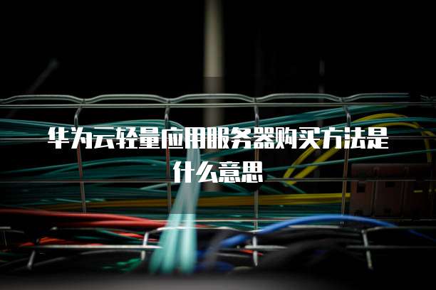 华为云轻量应用服务器购买方法是什么意思