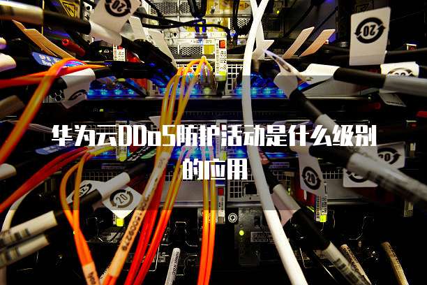 华为云DDoS防护活动是什么级别的应用