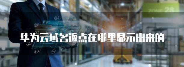 华为云域名返点在哪里显示出来的