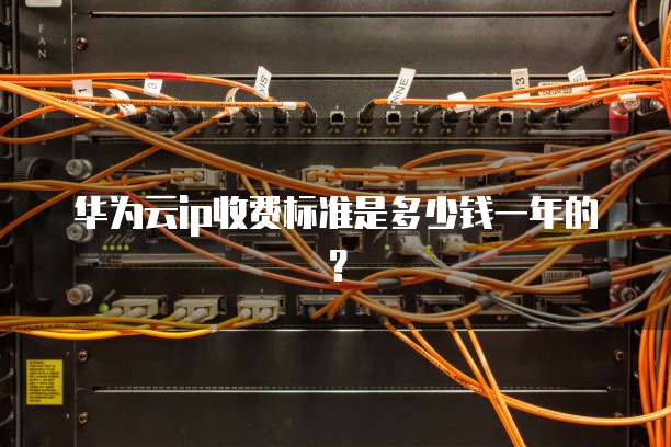 华为云ip收费标准是多少钱一年的？