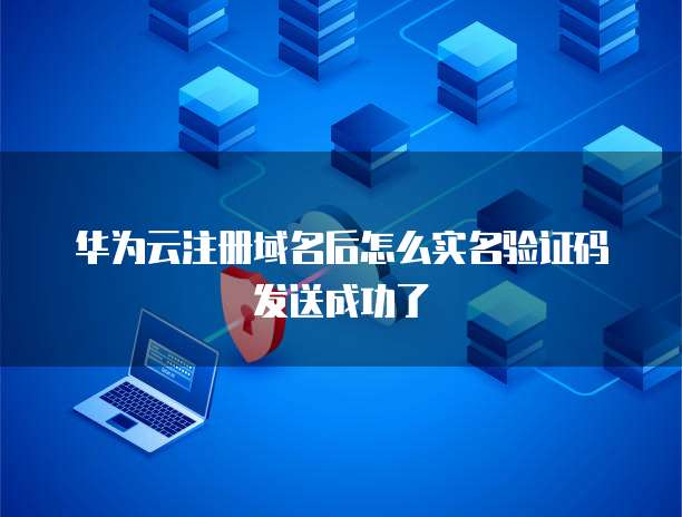 华为云注册域名后怎么实名验证码发送成功了