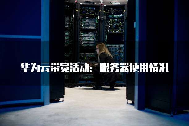 华为云带宽活动:服务器使用情况