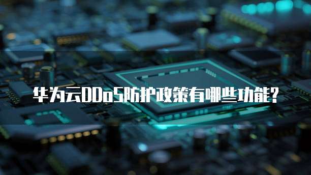华为云DDoS防护政策有哪些功能?