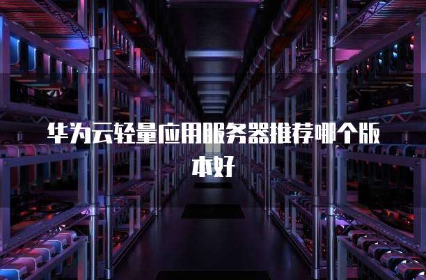 华为云轻量应用服务器推荐哪个版本好